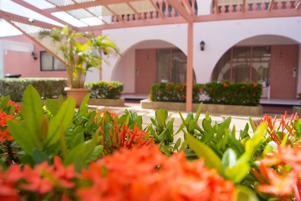 Sasaki Apartments Palm Beach